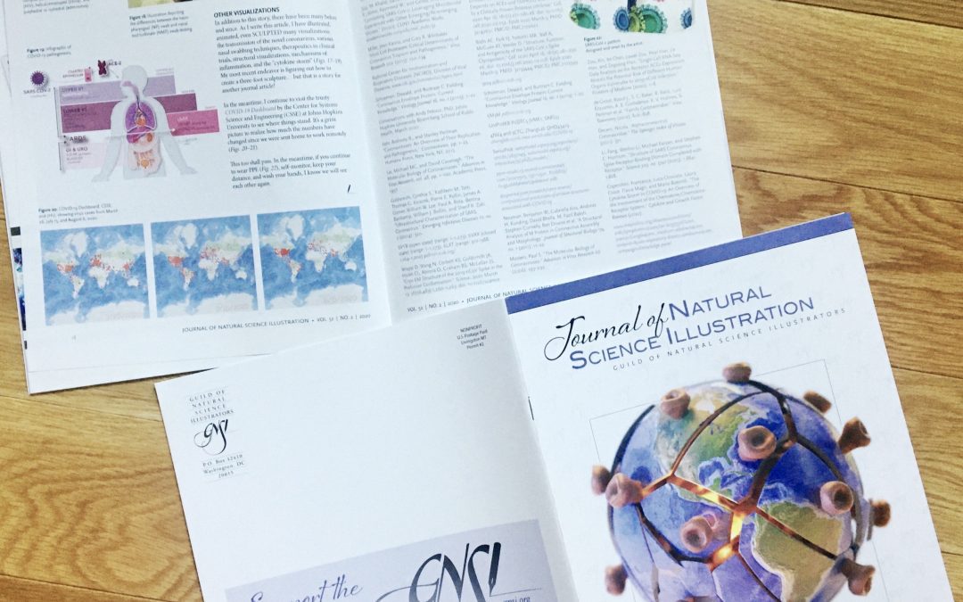 Jennifer Fairman publishes COVID-19 visualization article in JNSI