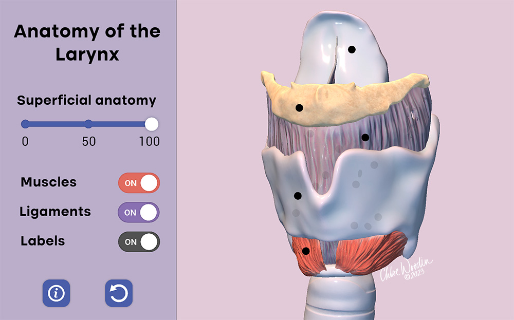 CW Larynx Interactive