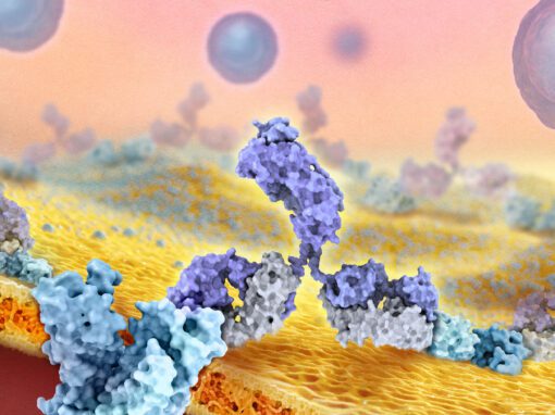 Masking T1 Diabetes