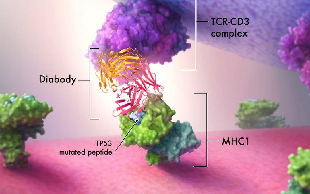 Student Emily Wu’s Artwork featured in NCI’s Cancer Currents Blog!