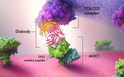 Student Emily Wu’s Artwork featured in NCI’s Cancer Currents Blog!