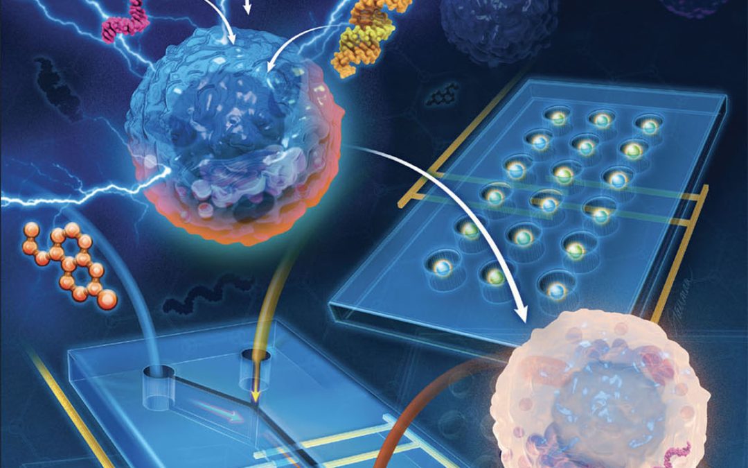 Jeni Fairman’s work featured in recent Chemical Reviews cover