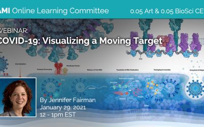 COVID-19: Visualizing a Moving Target