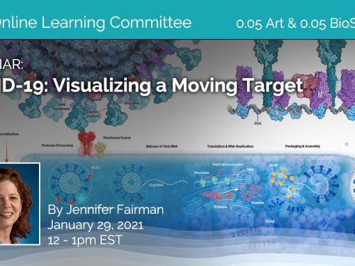 COVID 19: Visualizing A Moving Target