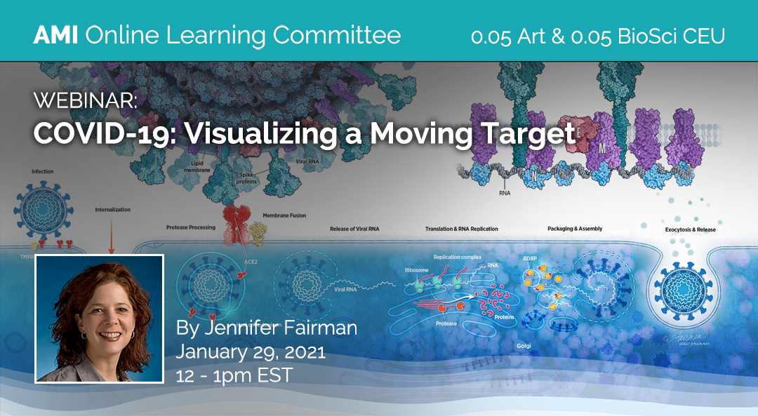 COVID-19: Visualizing a Moving Target