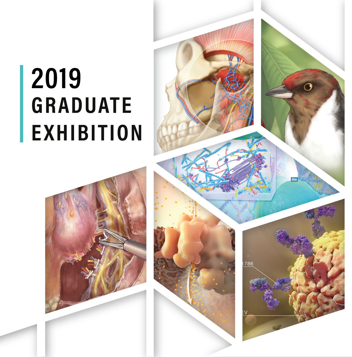 2019 Graduate Exhibition Reception