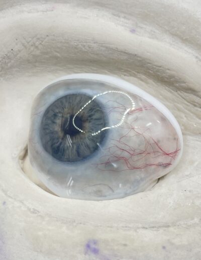 Image 5 © Jessica Liddicoat 2024