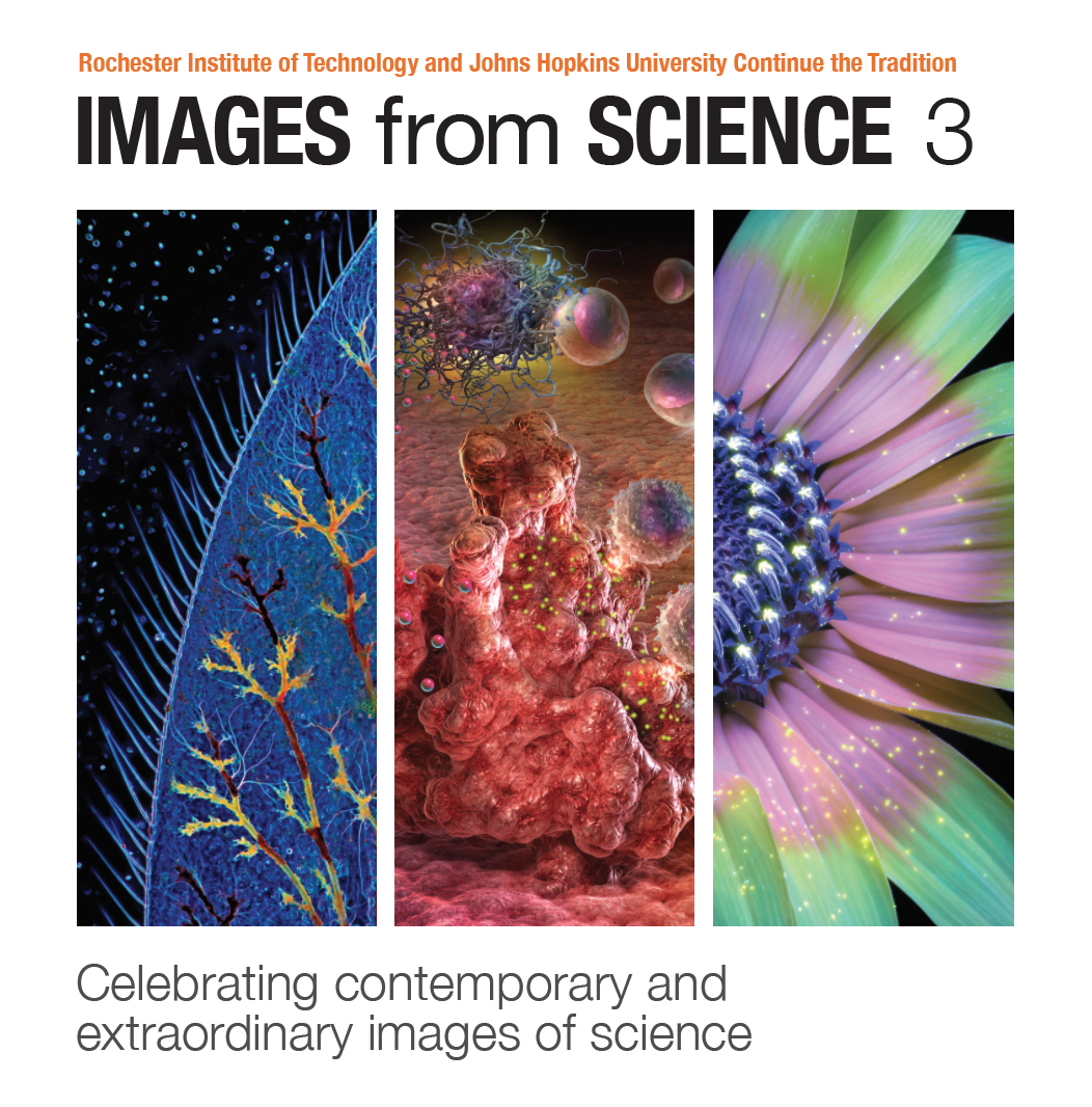 Images from Science 3: International juried exhibition highlights captivating photography, video and animation in service of science