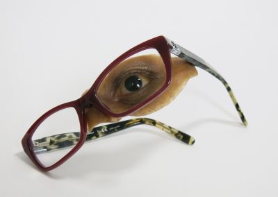 Orbital Ocular Glasses Retained scaled