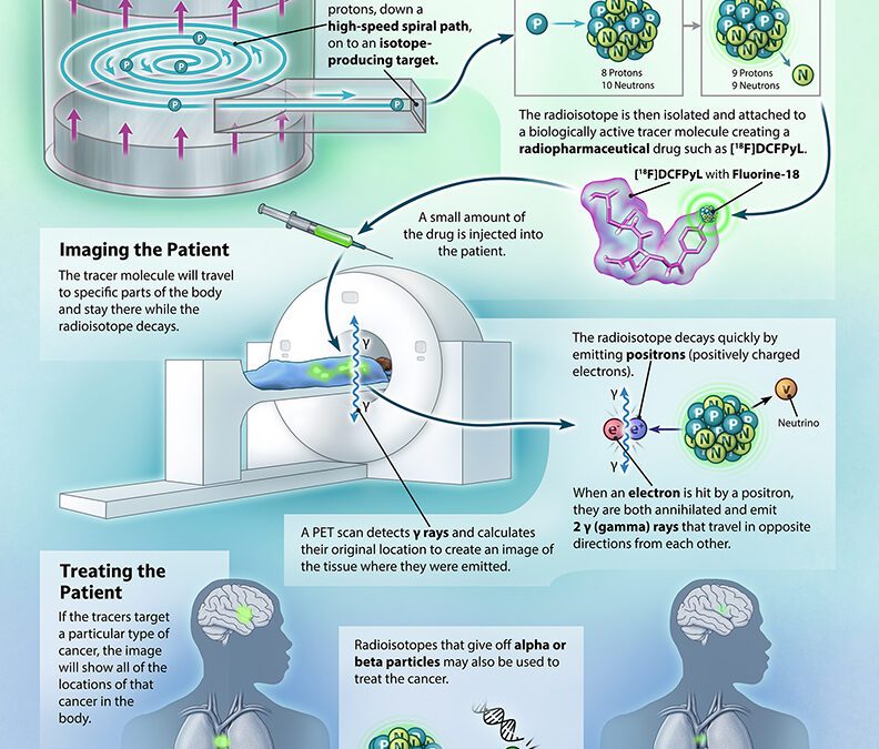 Full Page Magazine Illustration on PET and Theranostics