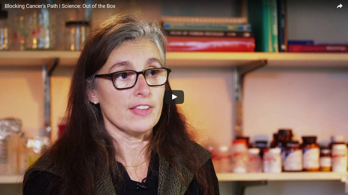 Sandra Gabelli discusses PI3K and cancer cells