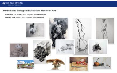 2025 MBI Portfolio Submission Now Open!