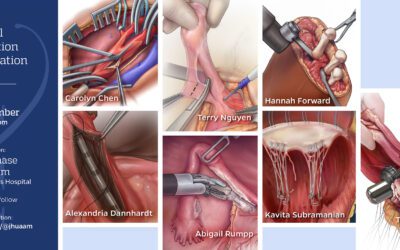 Surgical Illustration Presentation – 22 Nov 2024