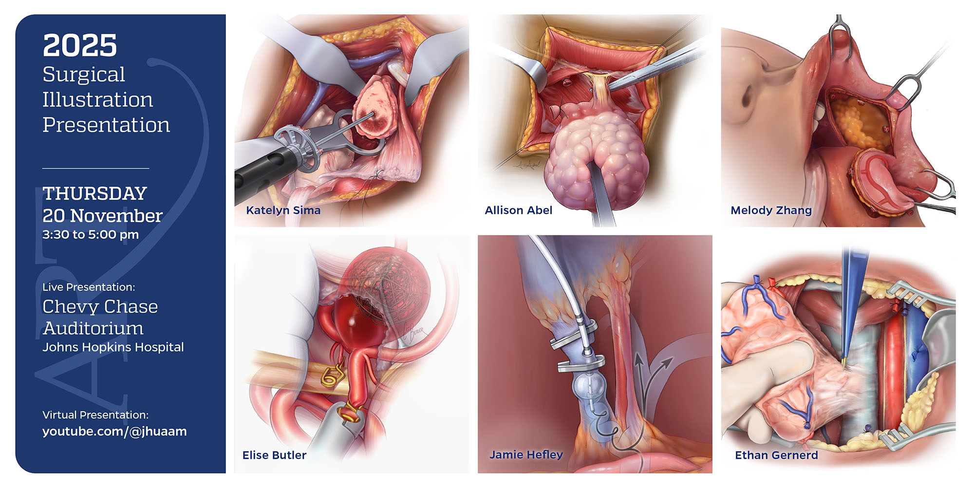Surgical Illustration Presentation – 20 Nov 2025