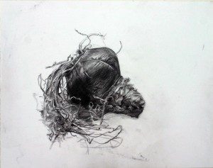 General Drawing © Suzanne Slattery