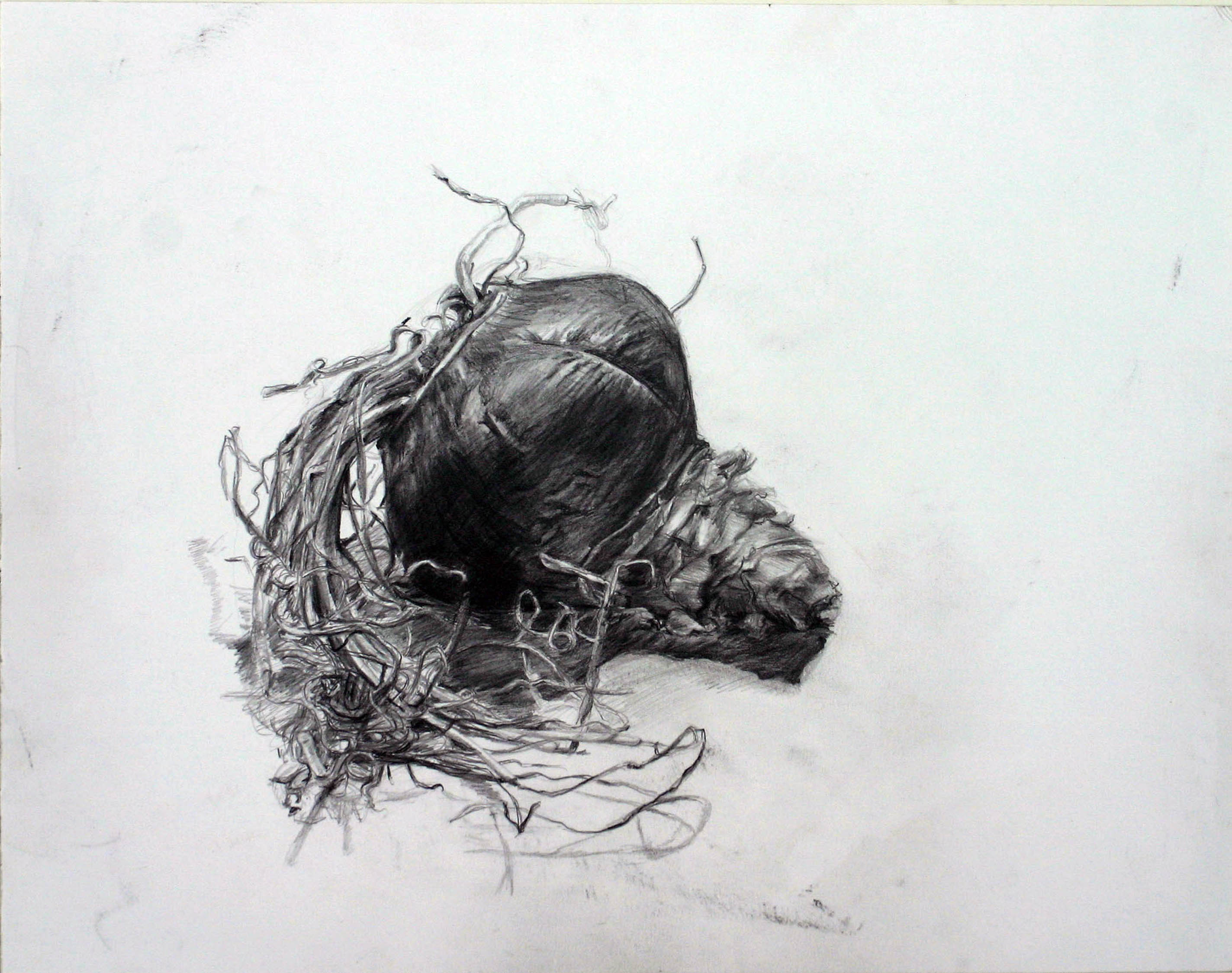 A Close Look – General Drawing