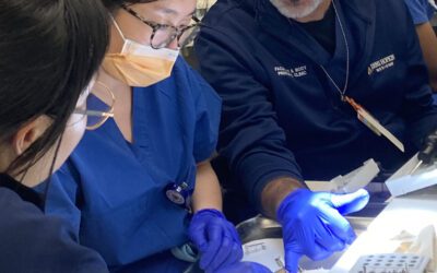 Implant Retained Facial Prosthetics Workshop