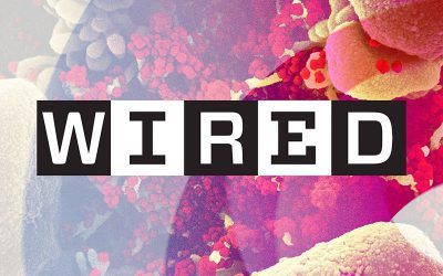 Faculty and Alum Interviewed in WIRED Magazine